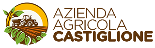 logo header22