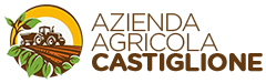 logo header2