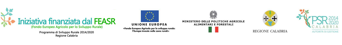 mission big regione
