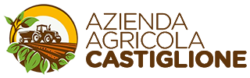 logo header 2